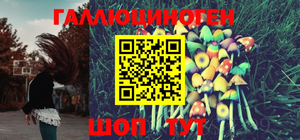 Псилоцибиновые грибы прущие грибы  Вход с VPN  Таганрог  Псилоцибиновые грибы Psilocybine cubensis 